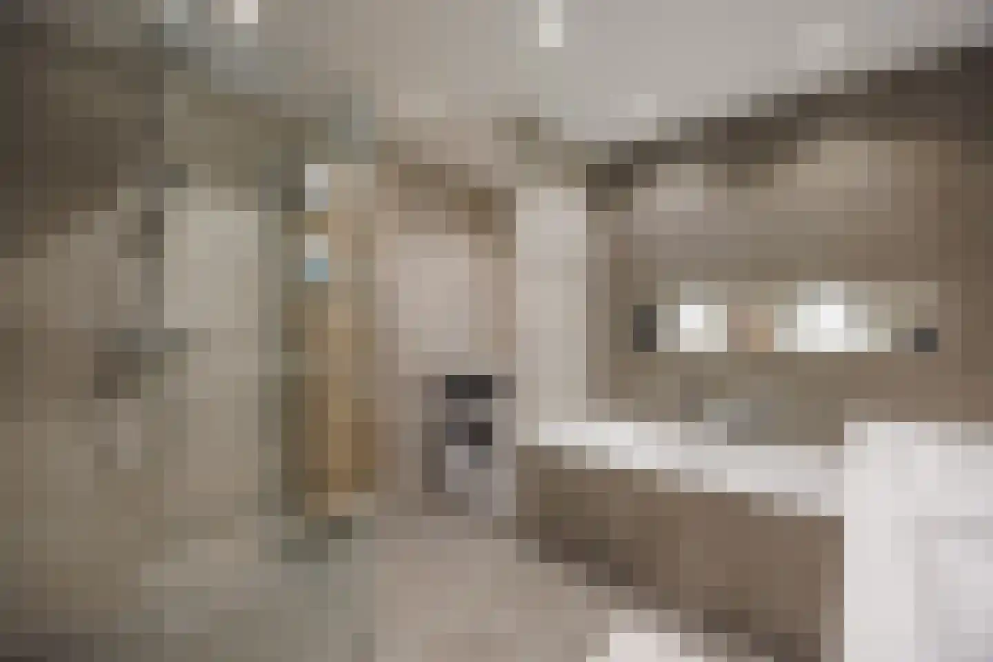 Drogerij 139 Den Hoorn thumbnail 16