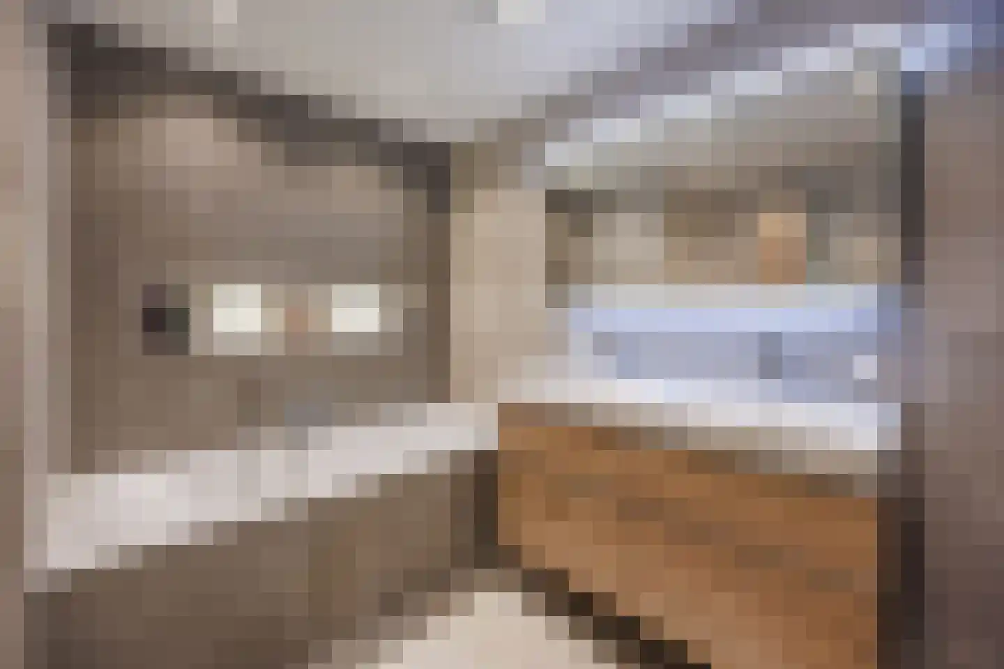 Drogerij 139 Den Hoorn thumbnail 17