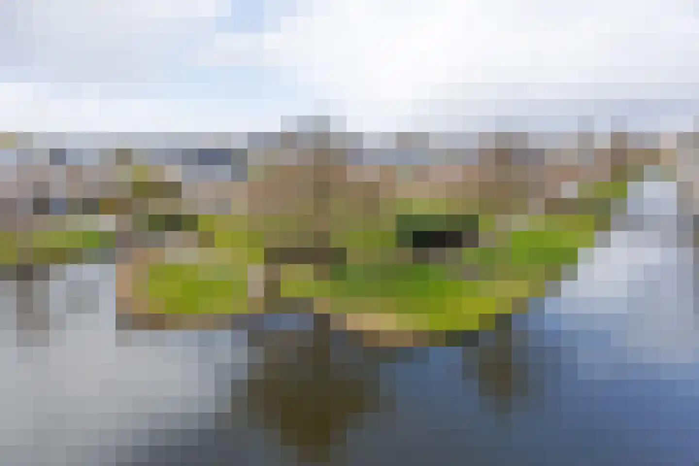 Drogerij 139 Den Hoorn thumbnail 28