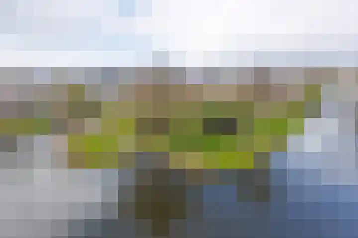 Drogerij 139 Den Hoorn thumbnail 28