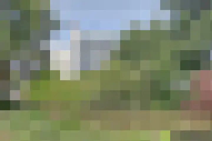 Drogerij 145 Den Hoorn thumbnail 32