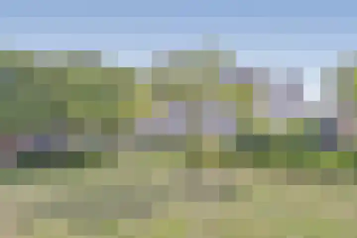 Drogerij 145 Den Hoorn thumbnail 34