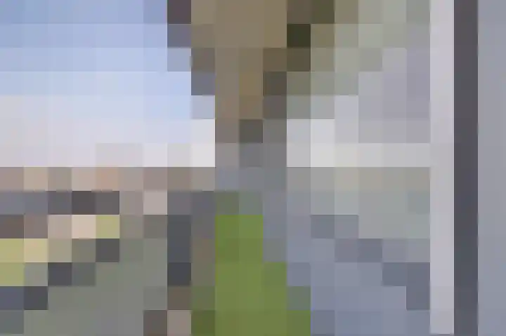 Drogerij 145 Den Hoorn thumbnail 37
