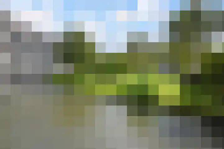 Drogerij 151 in Den Hoorn