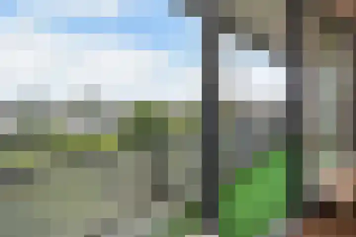 Drogerij 151 Den Hoorn thumbnail 12