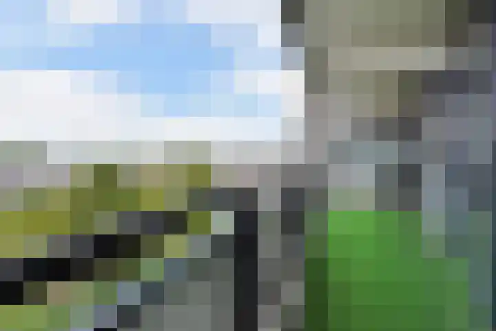 Drogerij 151 Den Hoorn thumbnail 13