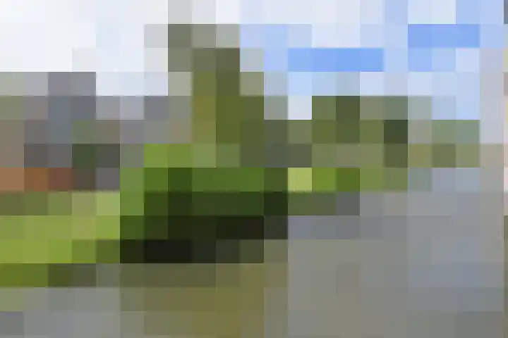 Drogerij 151 Den Hoorn thumbnail 33