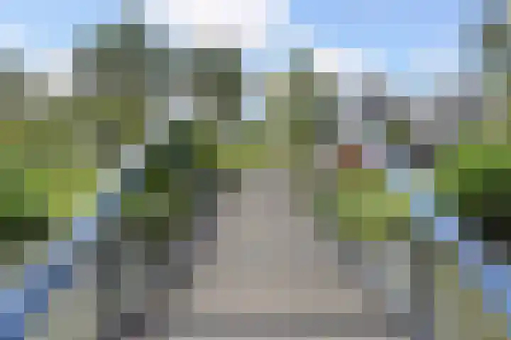 Drogerij 151 Den Hoorn thumbnail 34