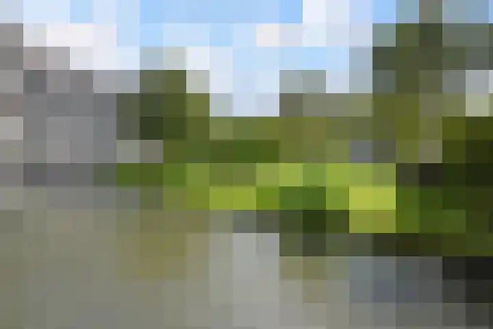 Drogerij 151 Den Hoorn thumbnail 37