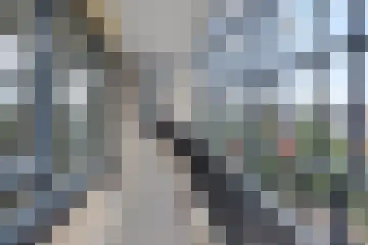 Drogerij 151 Den Hoorn thumbnail 8