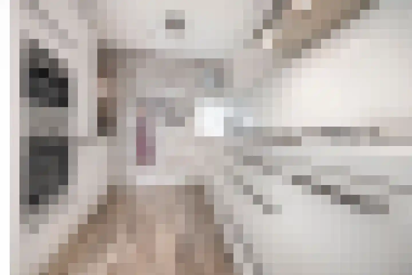Drogerij 171 Den Hoorn thumbnail 16