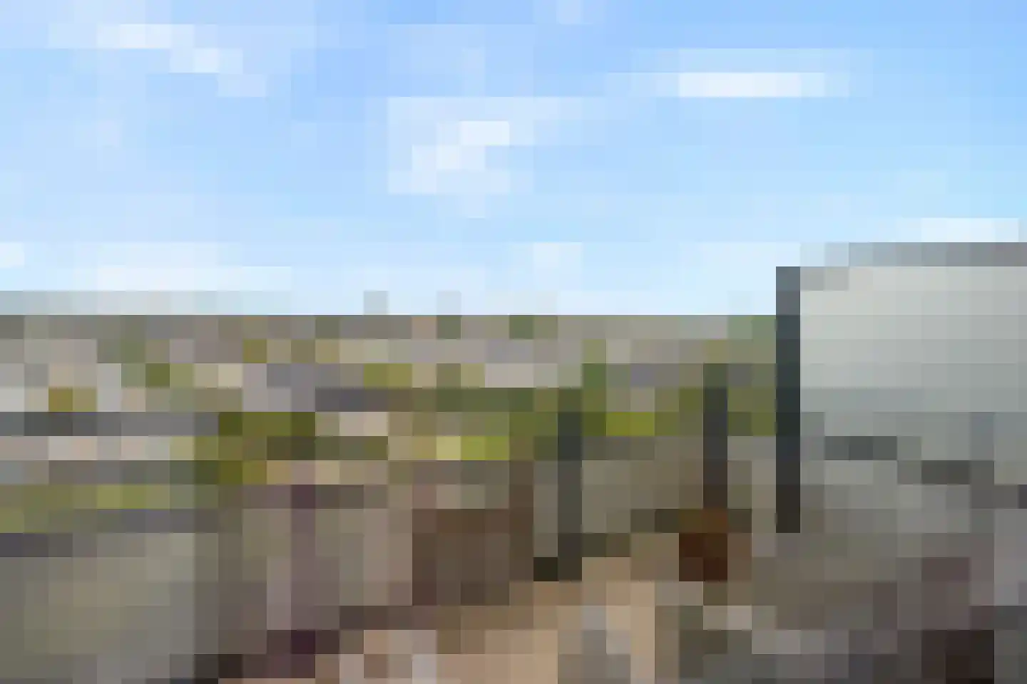 Drogerij 171 Den Hoorn thumbnail 19