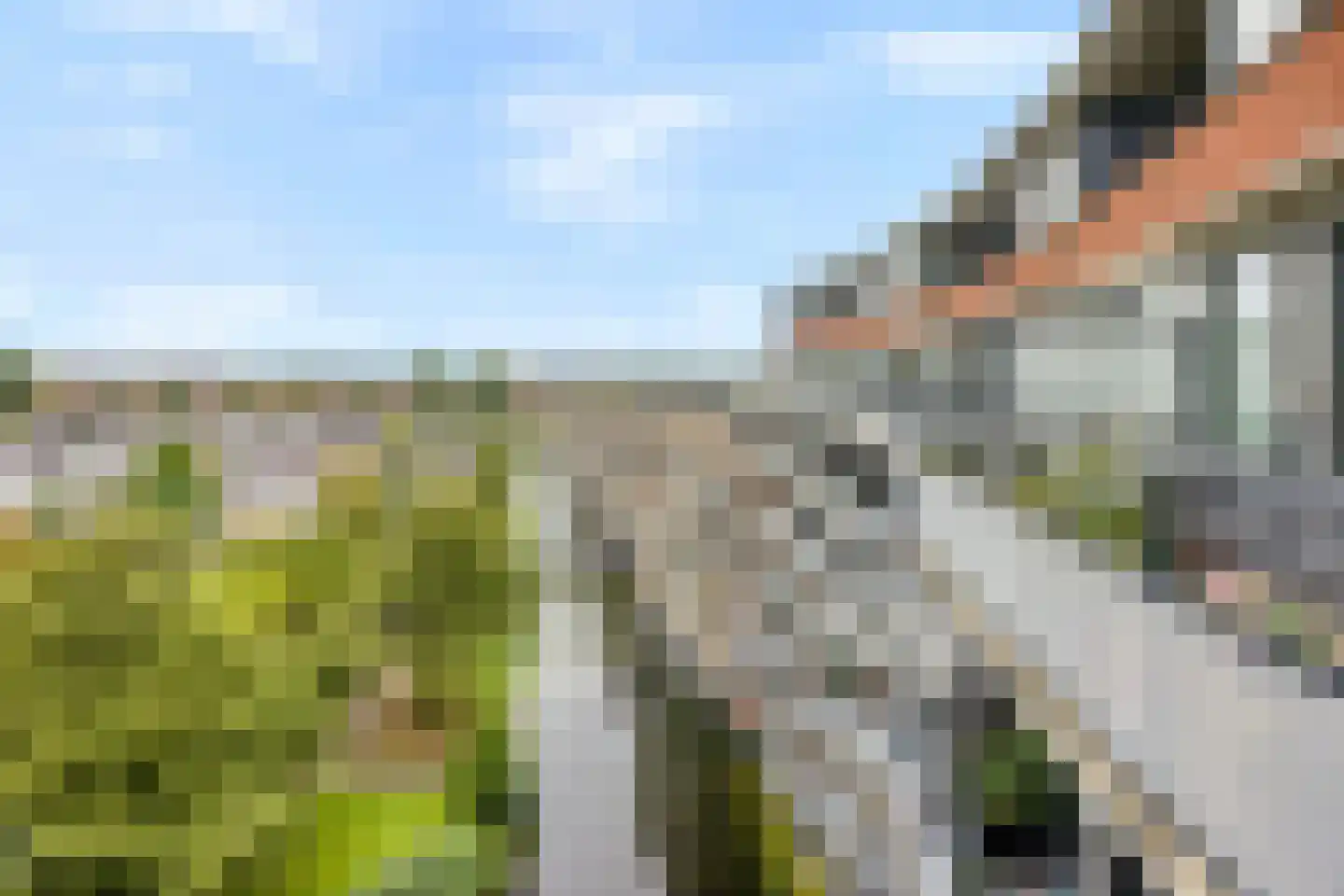 Drogerij 171 Den Hoorn thumbnail 22