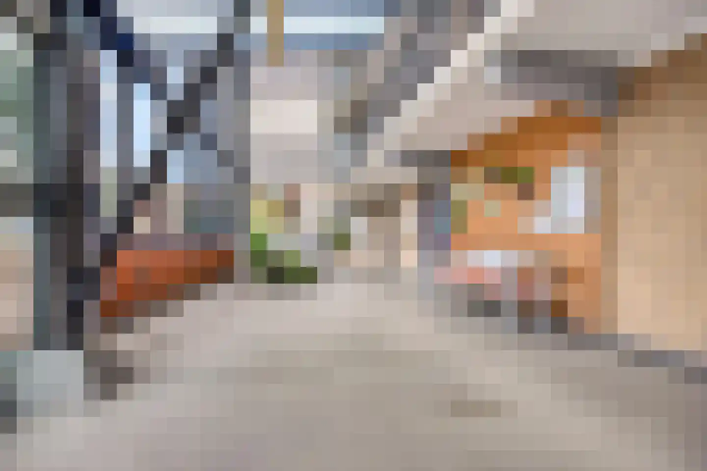 Drogerij 171 Den Hoorn thumbnail 32
