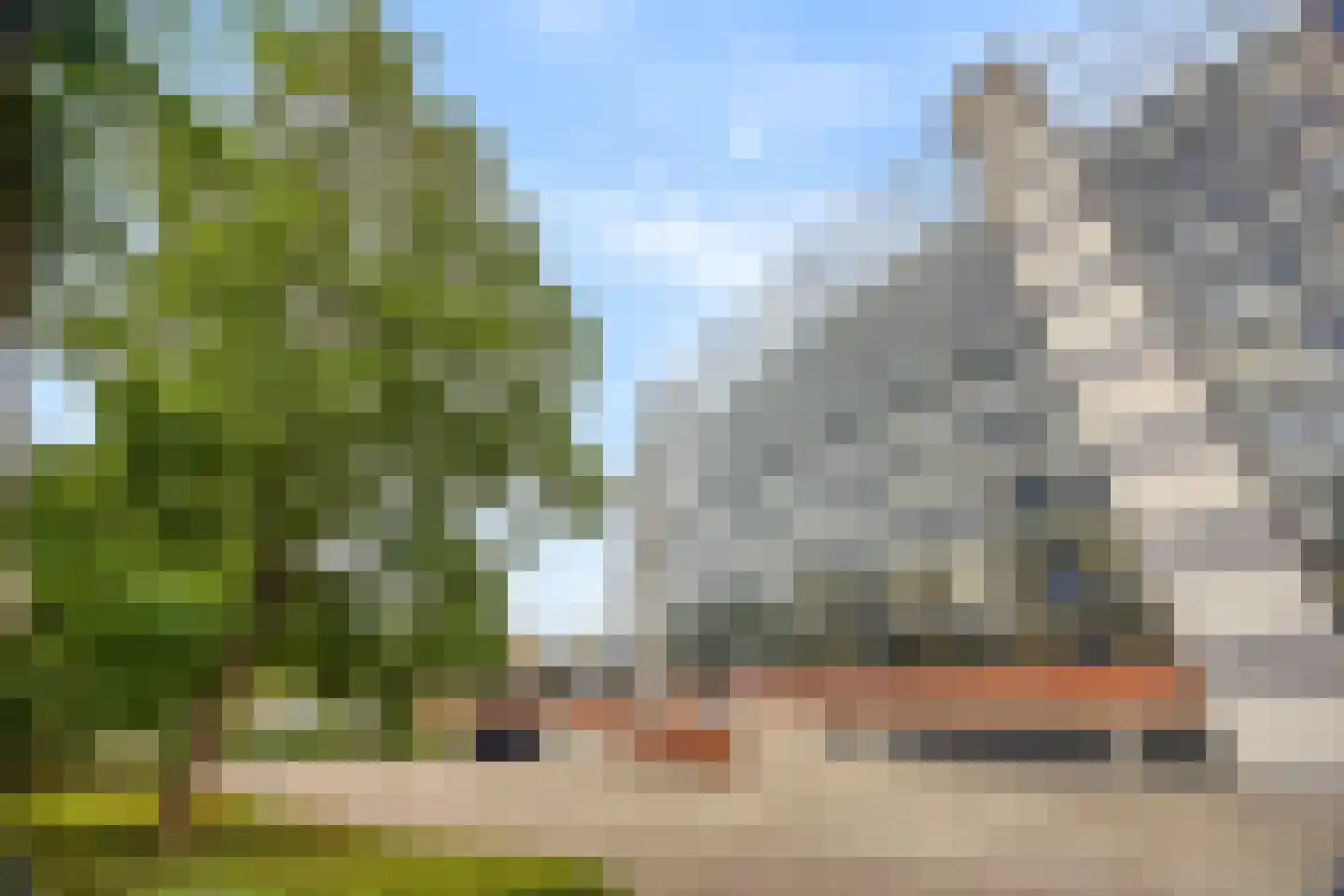 Drogerij 171 Den Hoorn thumbnail 33