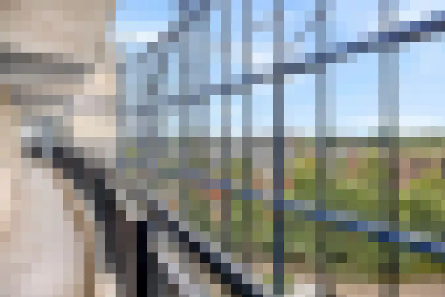 Drogerij 171 Den Hoorn thumbnail 8