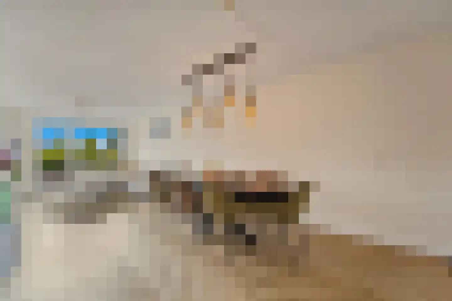 Drogerij 21 Den Hoorn thumbnail 10