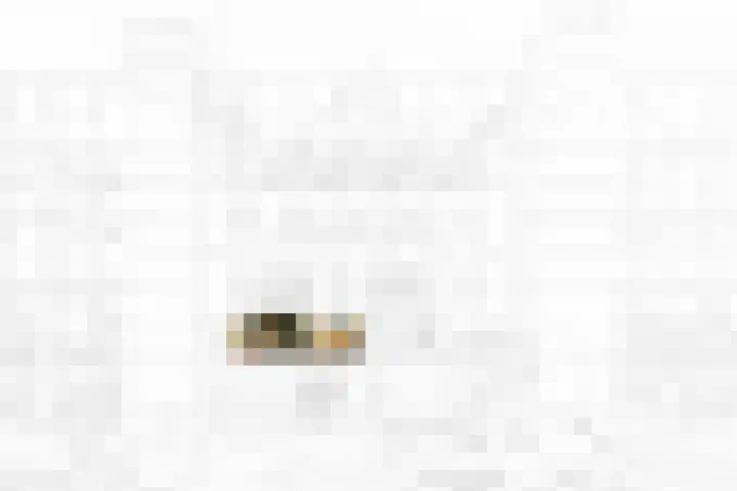 Drogerij 21 Den Hoorn thumbnail 30