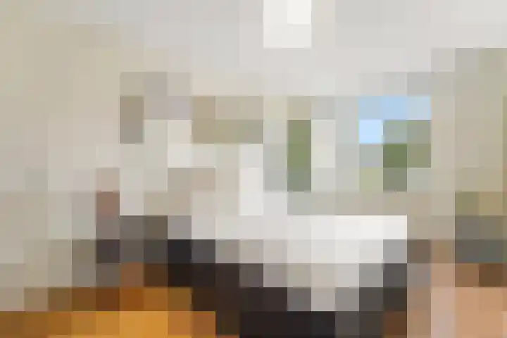Drogerij 27 Den Hoorn thumbnail 21