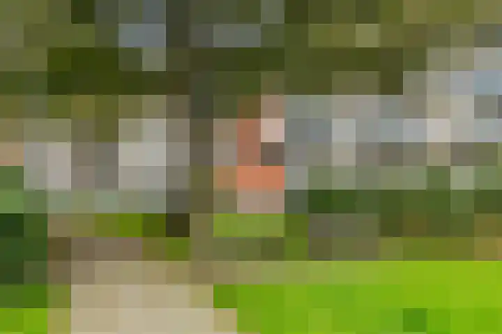 Drogerij 27 Den Hoorn thumbnail 28