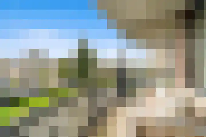 Drogerij 27 Den Hoorn thumbnail 5