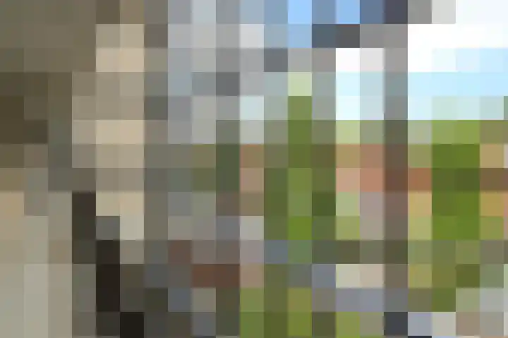 Drogerij 58 Den Hoorn thumbnail 21