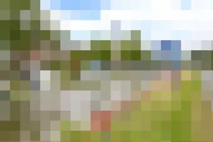 Drogerij 58 Den Hoorn thumbnail 25
