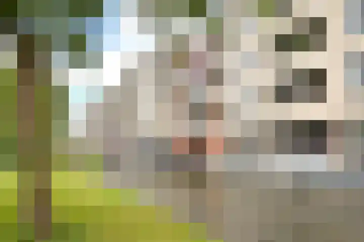 Drogerij 58 Den Hoorn thumbnail 27
