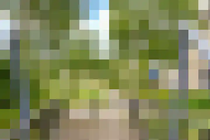 Drogerij 58 Den Hoorn thumbnail 28