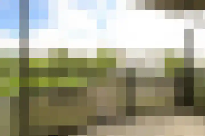 Drogerij 58 Den Hoorn thumbnail 4