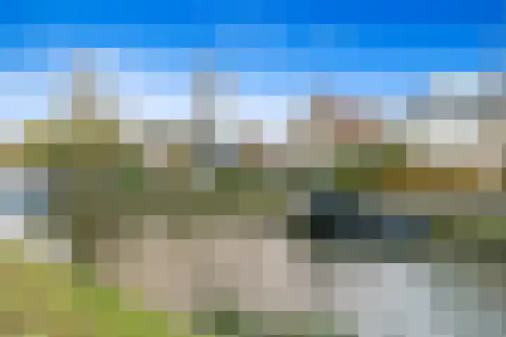 Drogerij 80 Den Hoorn thumbnail 36