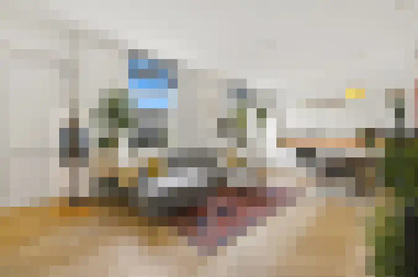 Drogersdijk 101 Den Haag thumbnail 11