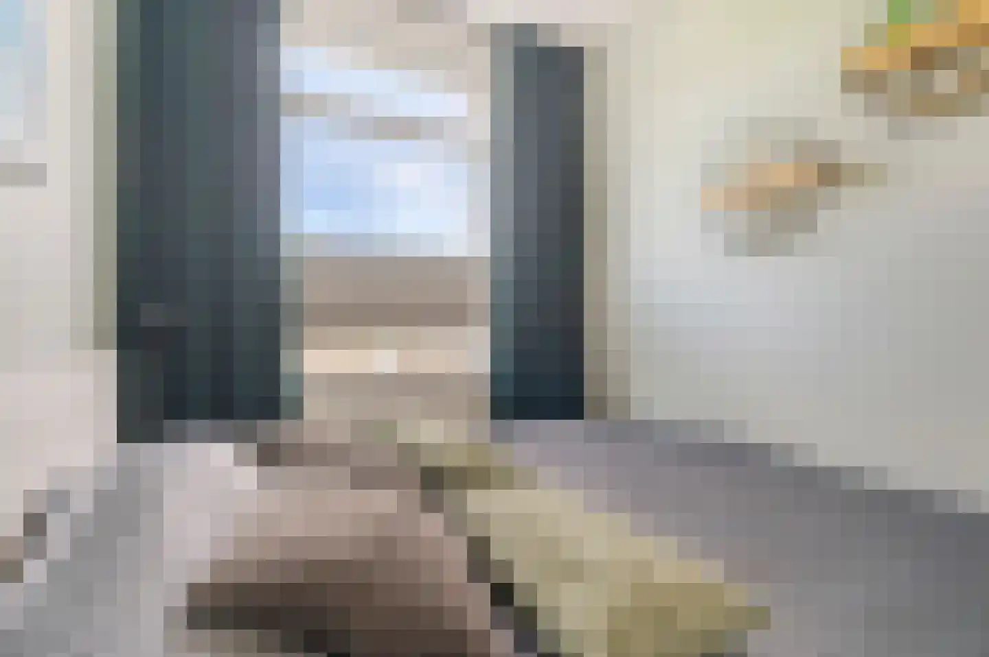 Drogersdijk 42 Den Haag thumbnail 16