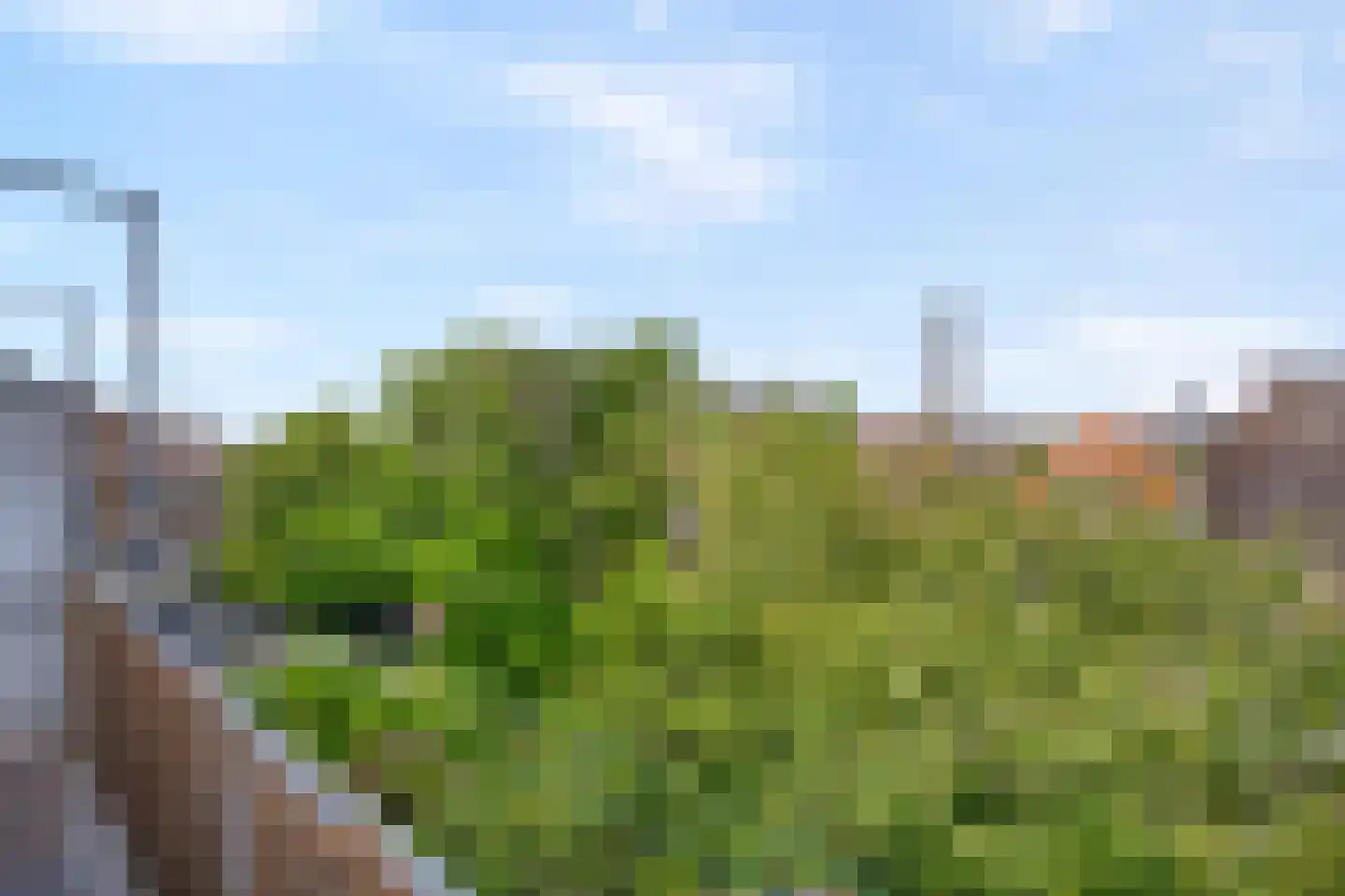Drogersdijk 42 Den Haag thumbnail 26