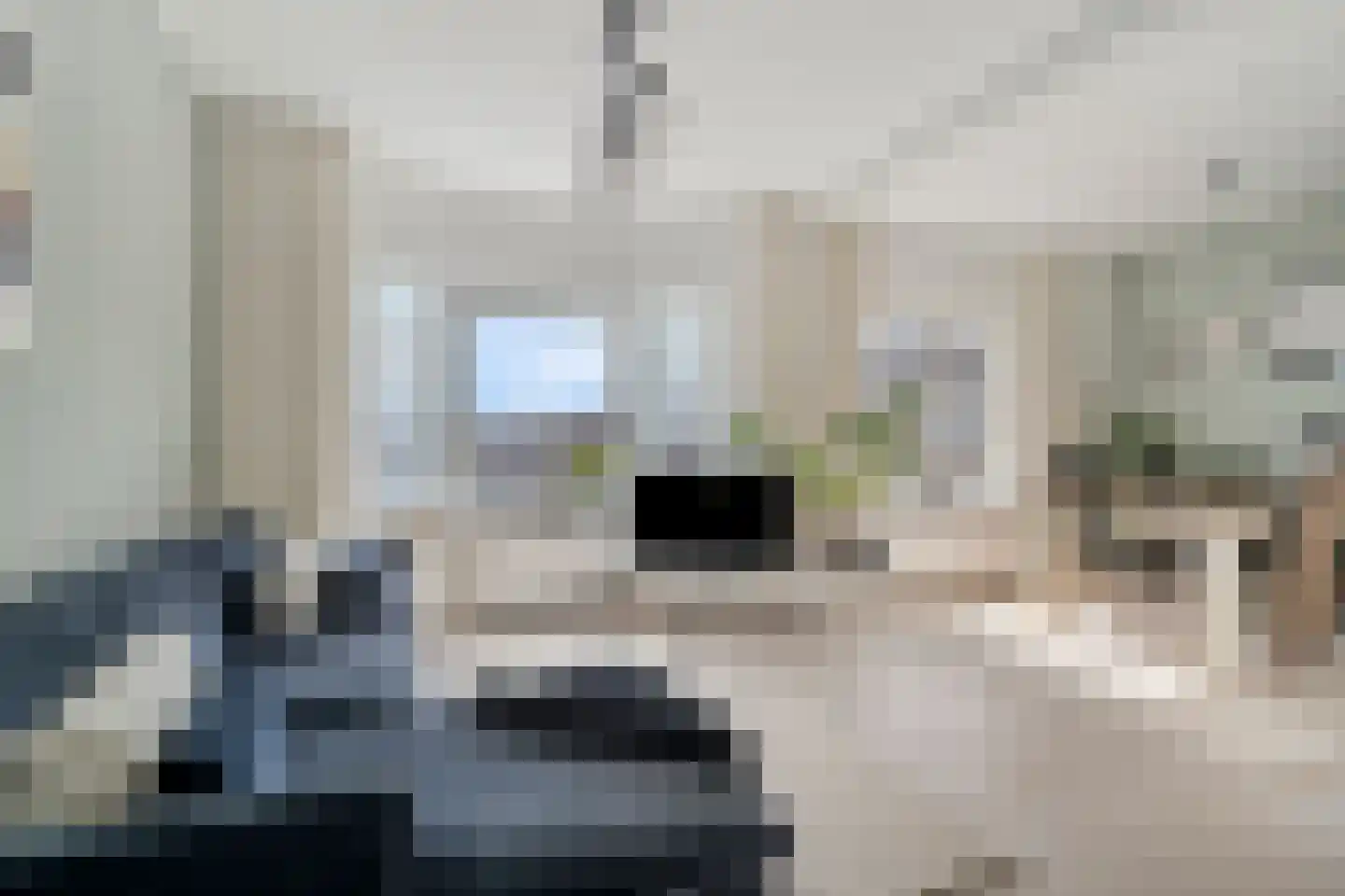Drogersdijk 42 Den Haag thumbnail 4