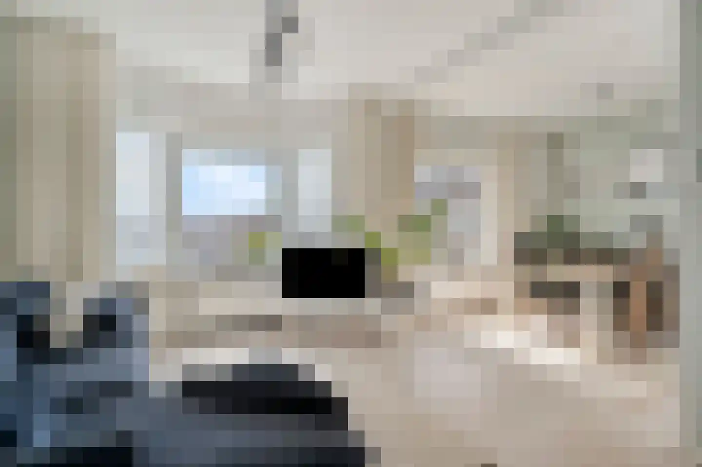 Drogersdijk 42 Den Haag thumbnail 5