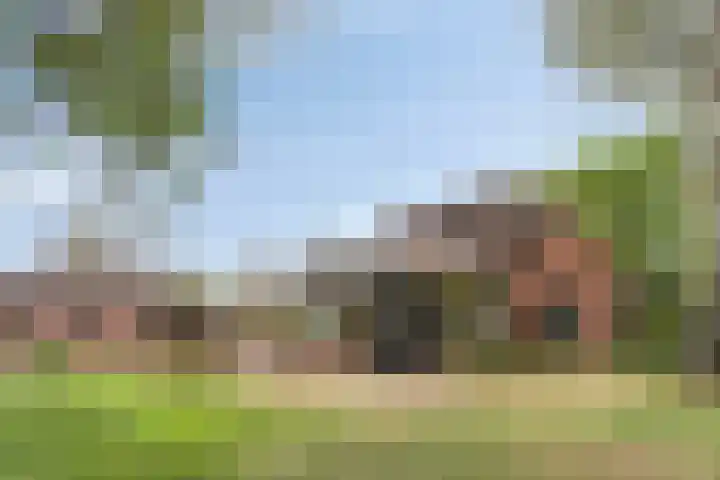 Drogesestraat 1 a Sint Agatha thumbnail 10
