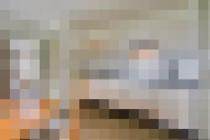 Drogesestraat 1 a Sint Agatha thumbnail 15