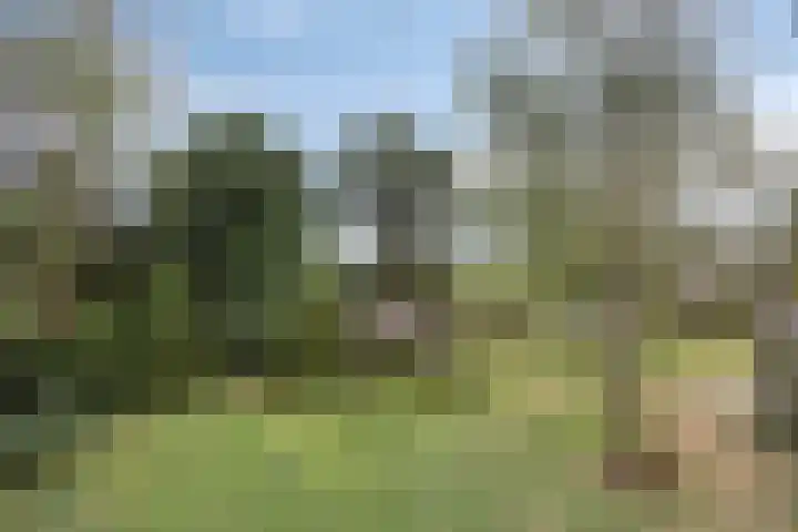Drogesestraat 1 a Sint Agatha thumbnail 35