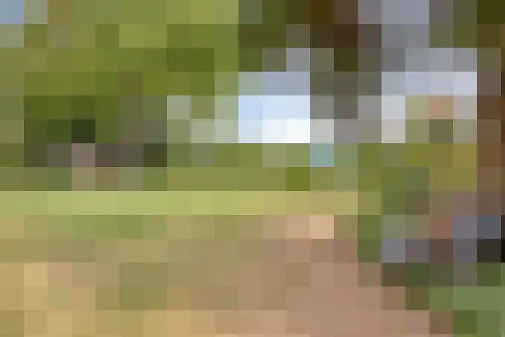 Drogesestraat 1 a Sint Agatha thumbnail 36