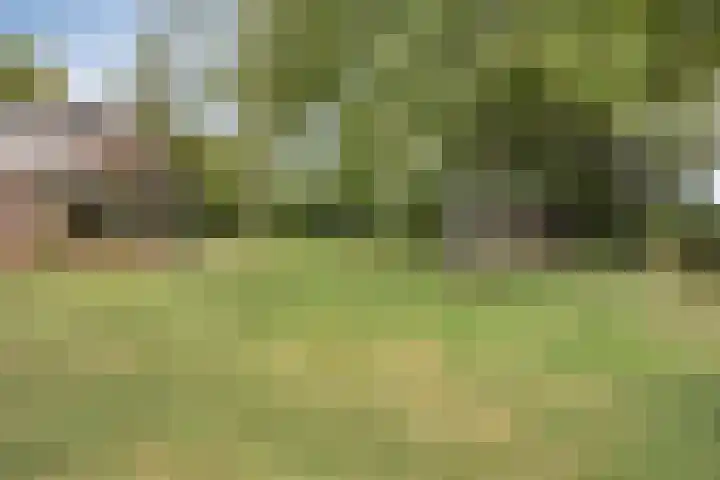 Drogesestraat 1 a Sint Agatha thumbnail 37