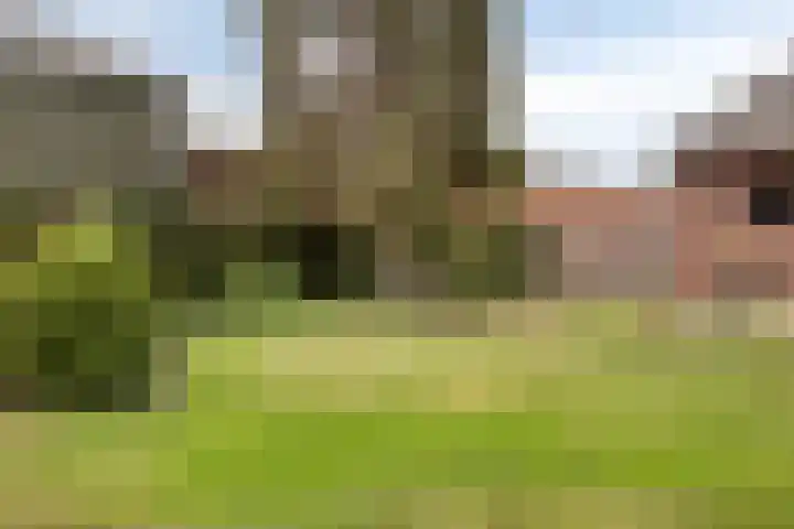 Drogesestraat 1 a Sint Agatha thumbnail 38