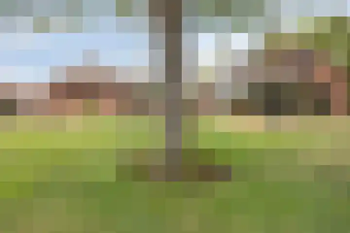 Drogesestraat 1 a Sint Agatha thumbnail 39