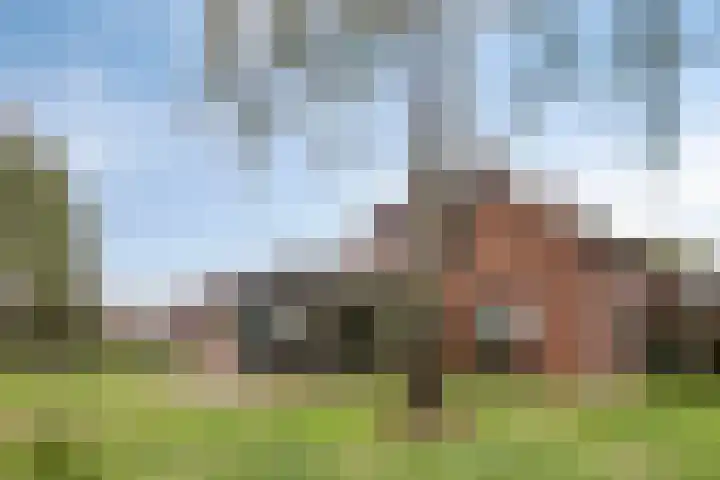 Drogesestraat 1 a Sint Agatha thumbnail 42