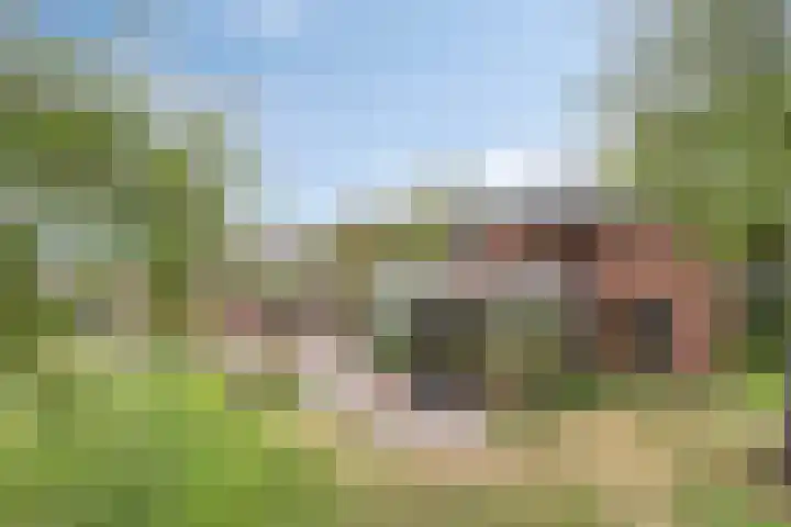 Drogesestraat 1 a Sint Agatha thumbnail 44