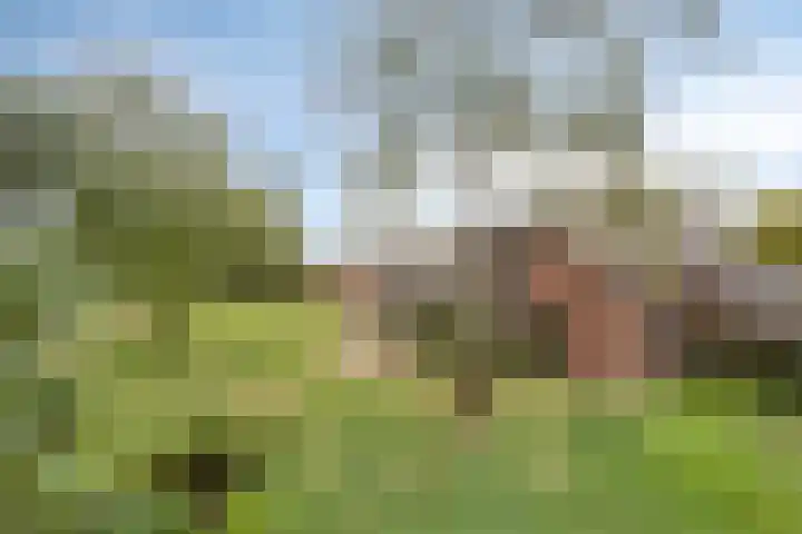 Drogesestraat 1 a Sint Agatha thumbnail 45