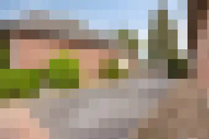 Drogesestraat 1 a Sint Agatha thumbnail 5