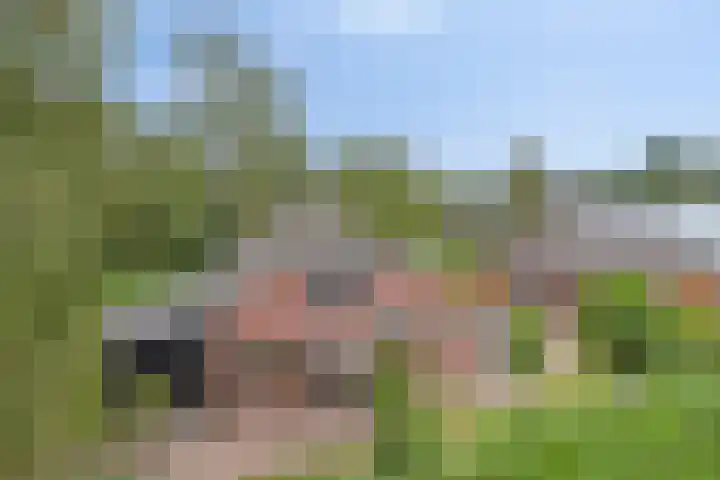 Drogesestraat 1 Sint Agatha thumbnail 10