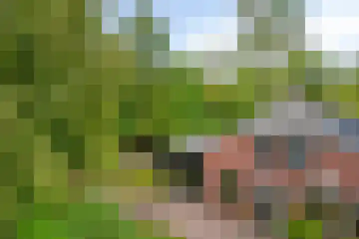 Drogesestraat 1 Sint Agatha thumbnail 11