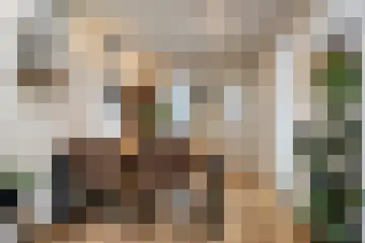 Drogesestraat 1 Sint Agatha thumbnail 18